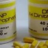 Buy DNP Capsules Online in Europe